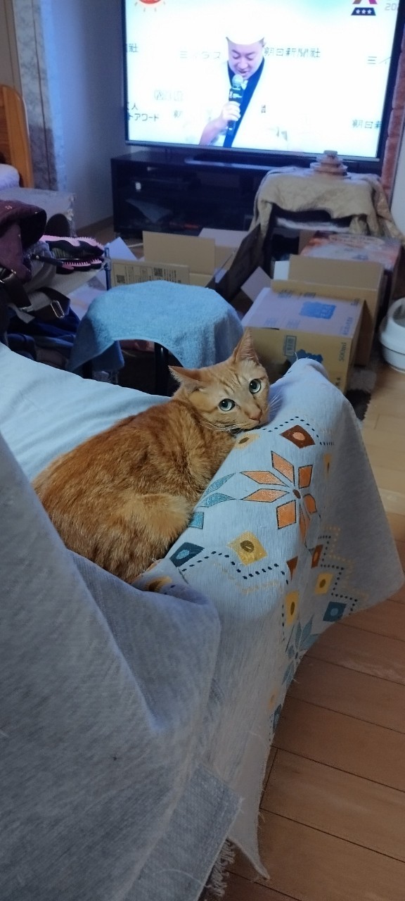 実体験】「信頼」が「数字」に変わった日。大切なお金を守るための学び直し