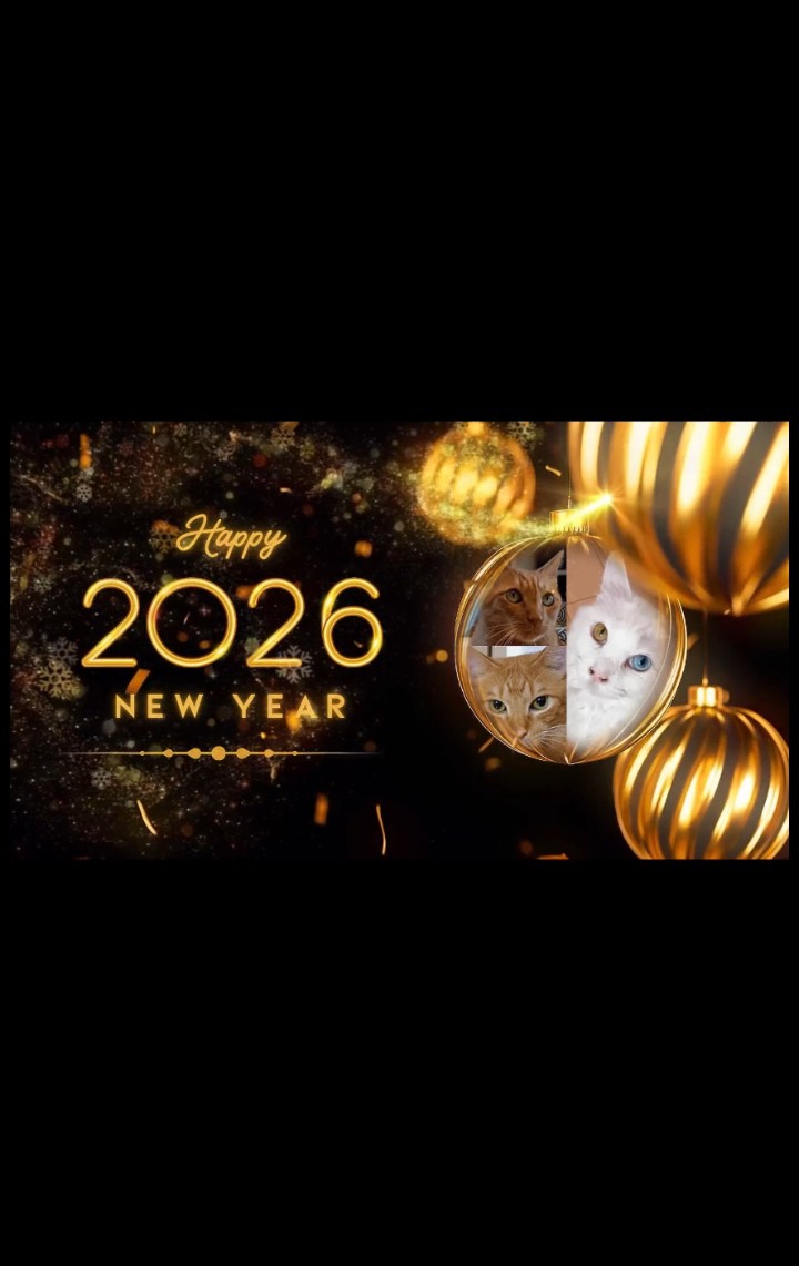 2026年始動】FXのスワップ投資 vs ブログ、3年後どっちが稼げるか勝負してみることにした!