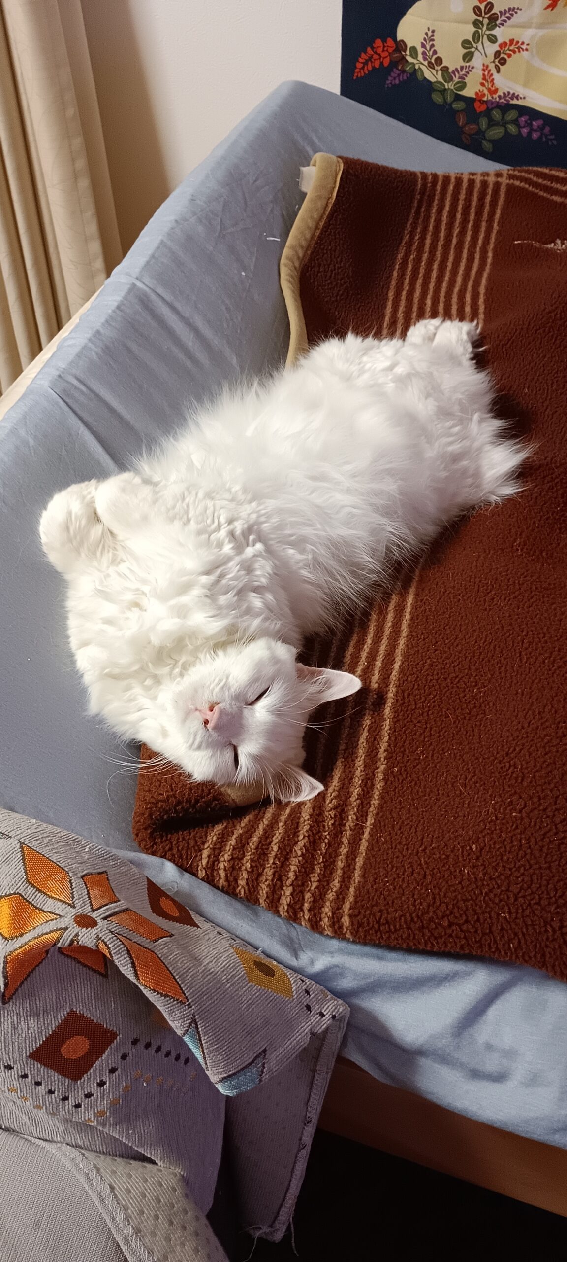 【活動報告】高田馬場での試験挑戦と、都会の誘惑?