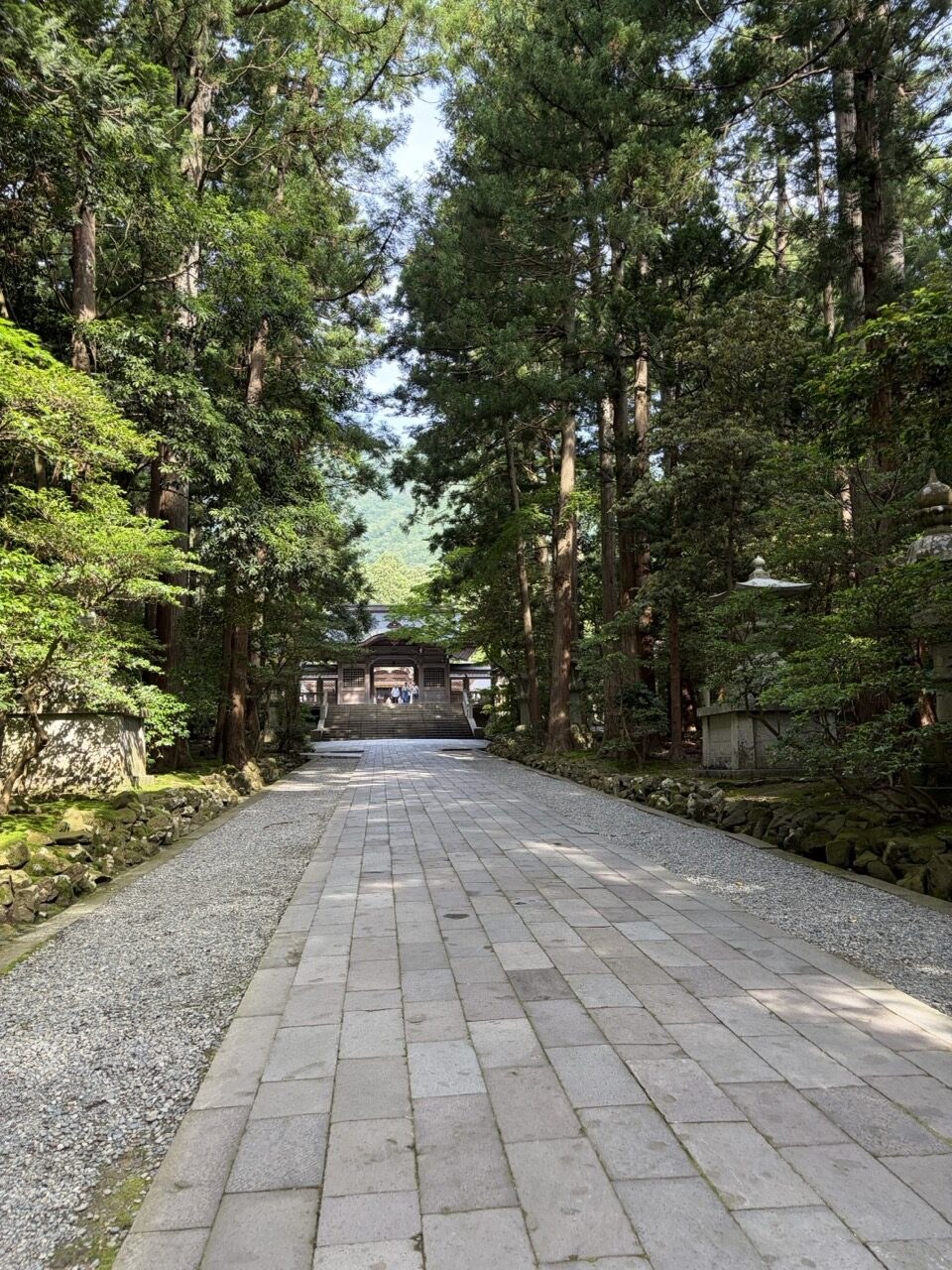 杉並木と石灯籠が続く弥彦神社の参道
