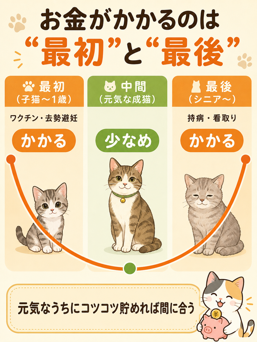 猫の医療費がかかるのは最初と最後、という図解
