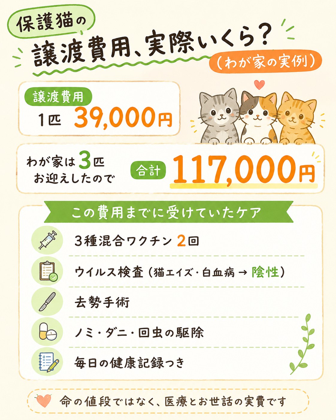 保護猫の譲渡費用の実例:1匹39,000円、3匹で合計117,000円