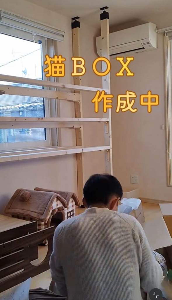猫BOX作成中。キャットウォークのある猫部屋で組み立てスタート