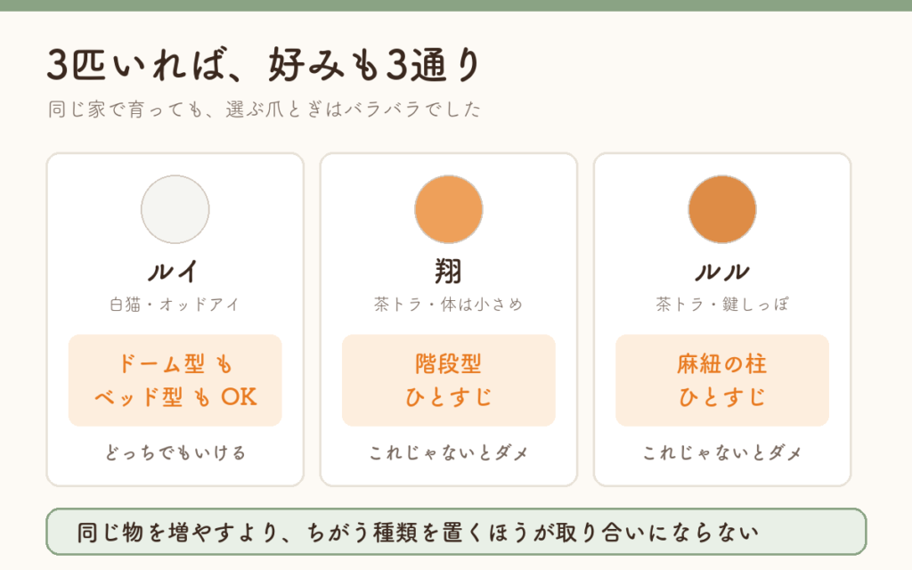 猫3匹それぞれの好きな爪とぎの種類