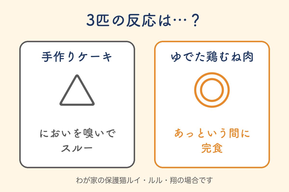 3匹の反応の図解：ケーキはスルー、鶏むね肉は完食
