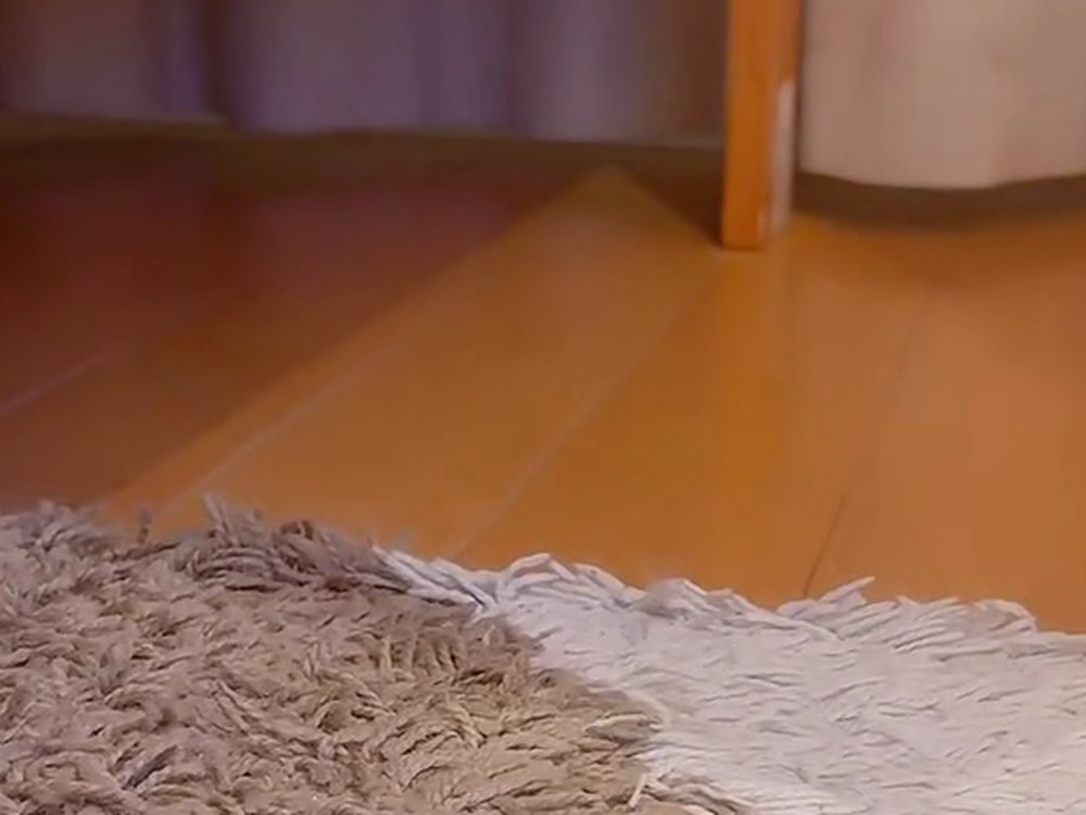 猫がいなくなった、だれもいない床