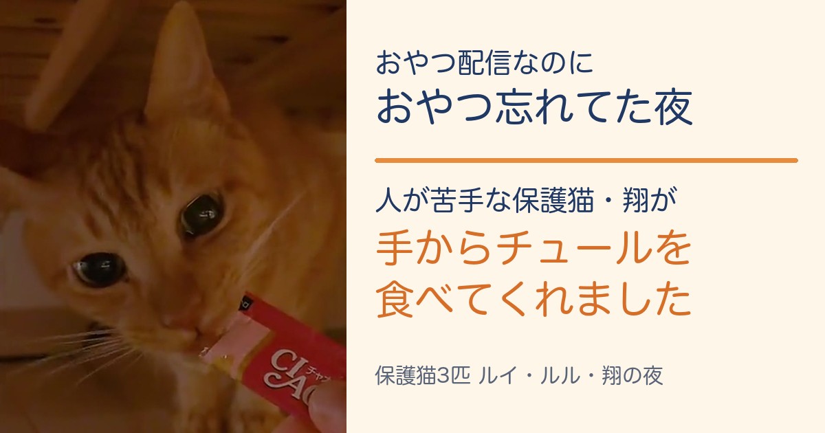 人が苦手な保護猫の翔が手からチュールを食べるアイキャッチ