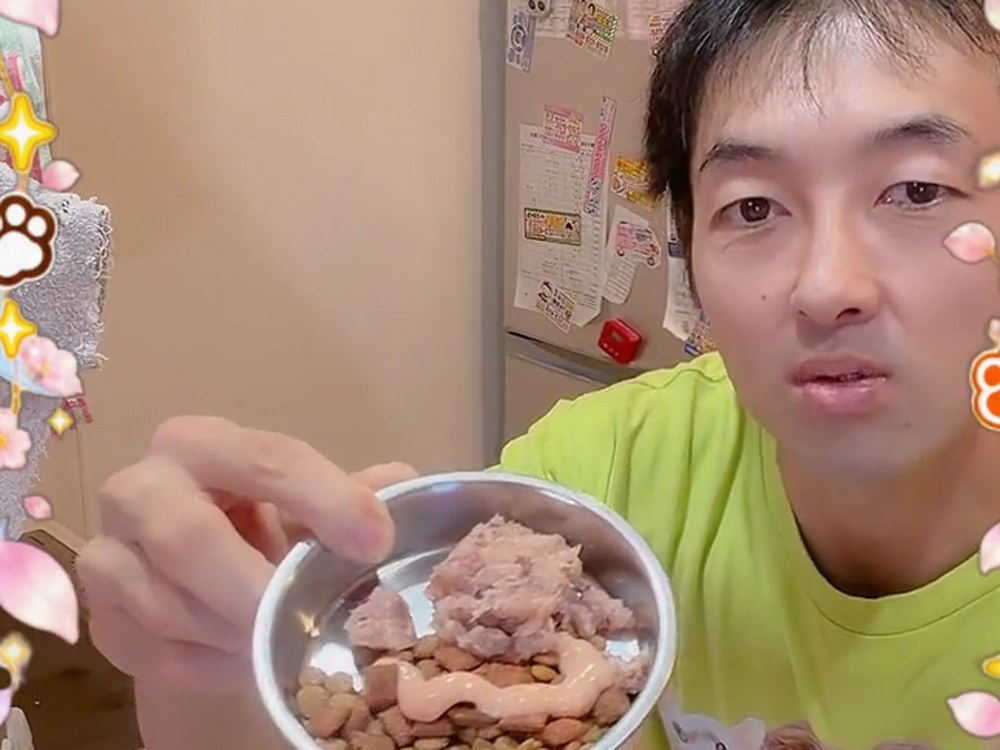 カリカリとウェットフードにチュールをかけた、猫の朝ごはんのお皿