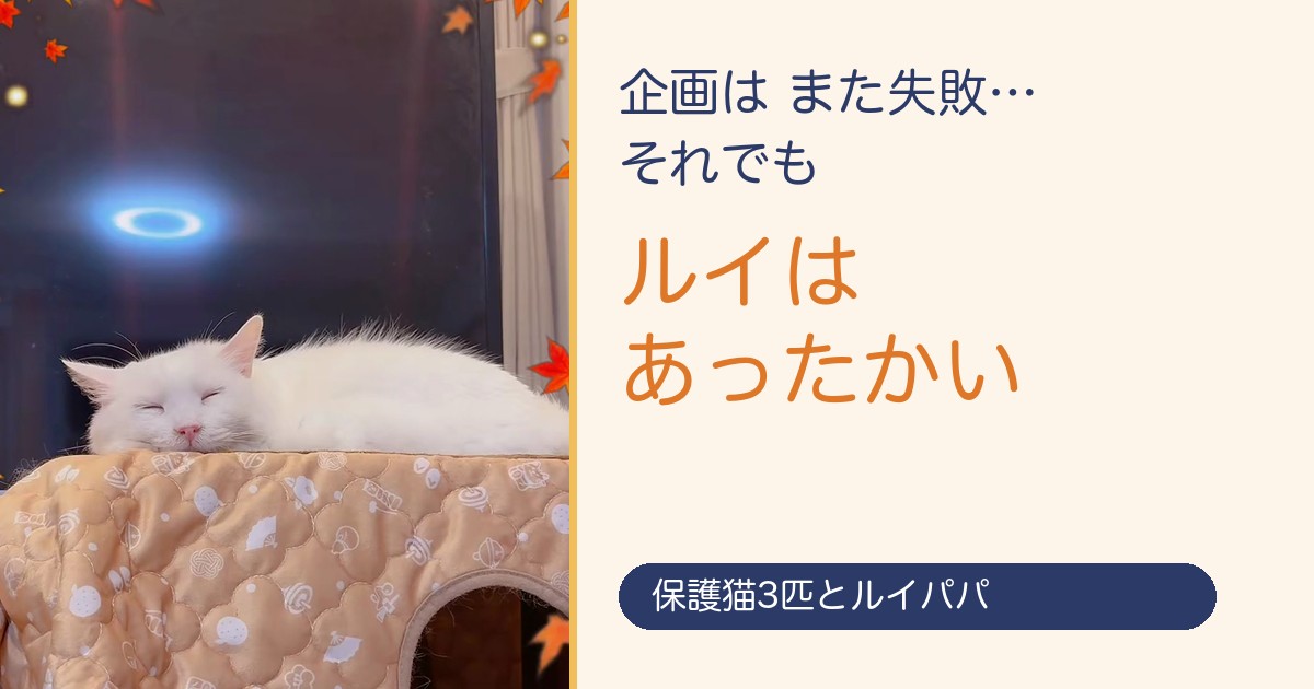 企画はまた失敗 それでもルイはあったかい